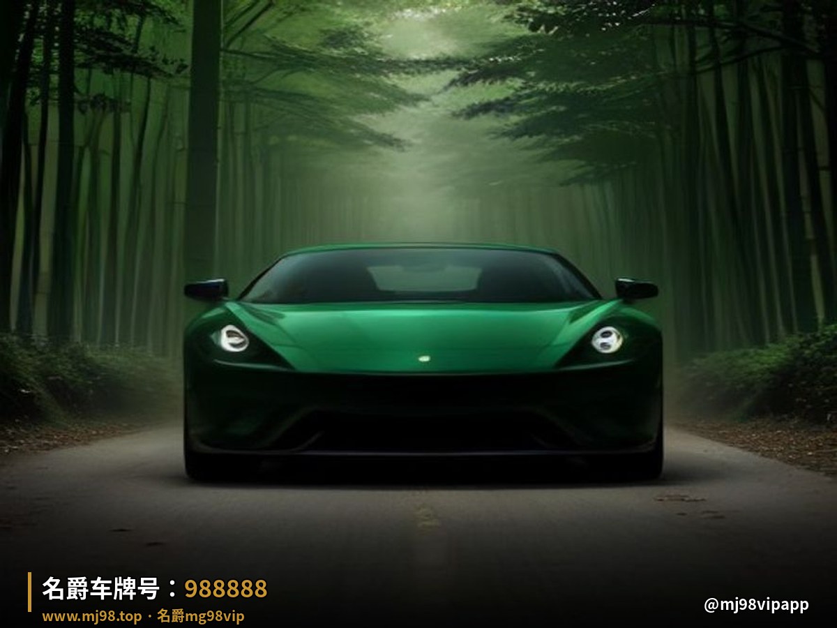 名爵mg98vip 代号说明示意图